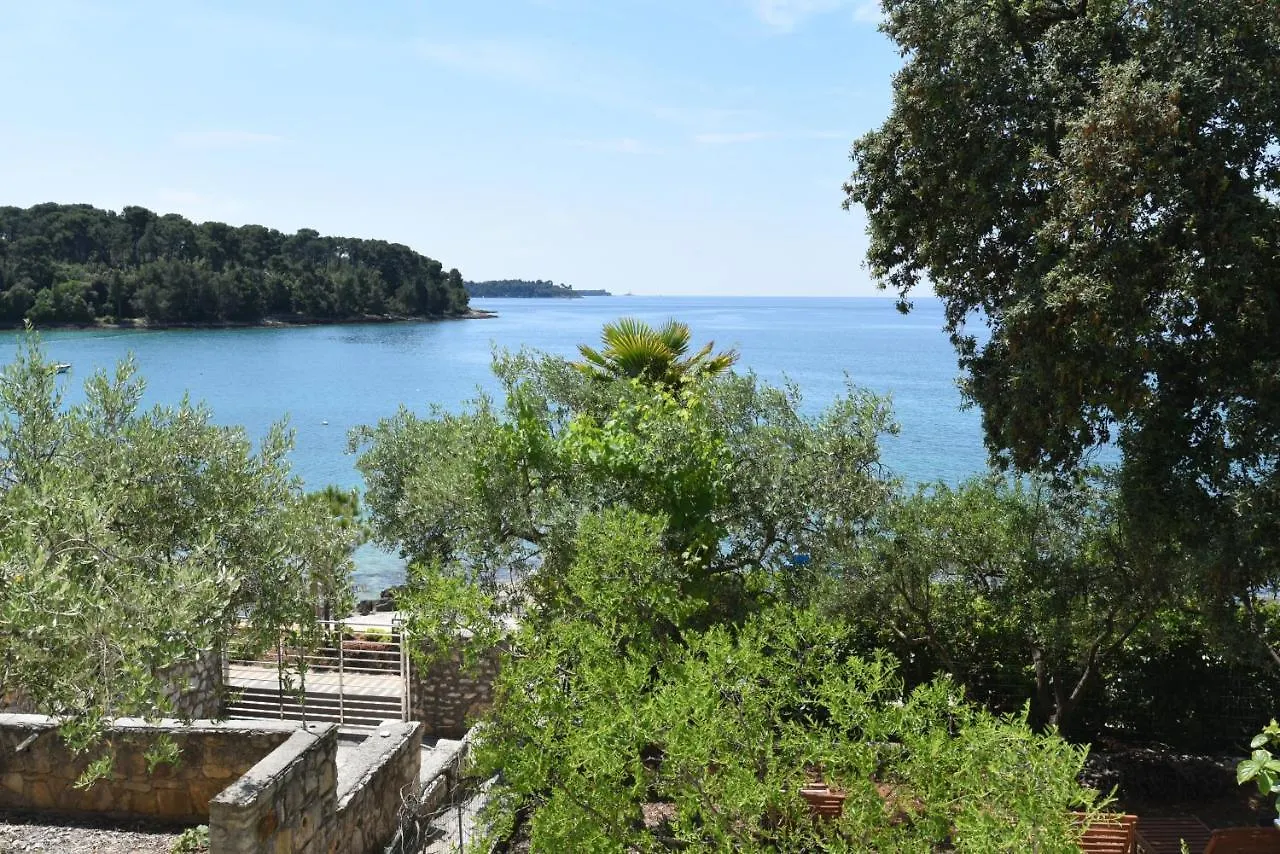 Buric House - Apartments Klasik And Studio Mini Rovinj Croatia